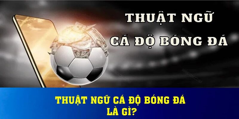 Thuật Ngữ Cá Độ Bóng Đá Là Gì?